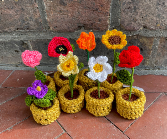 Mini Crochet Flowerpots