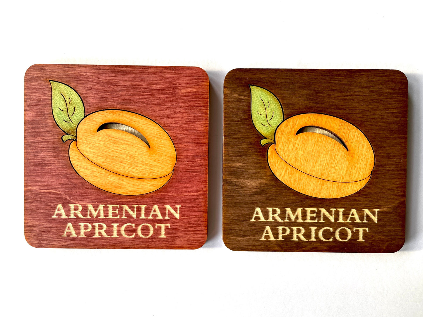 Armenian Apricot Coaster we