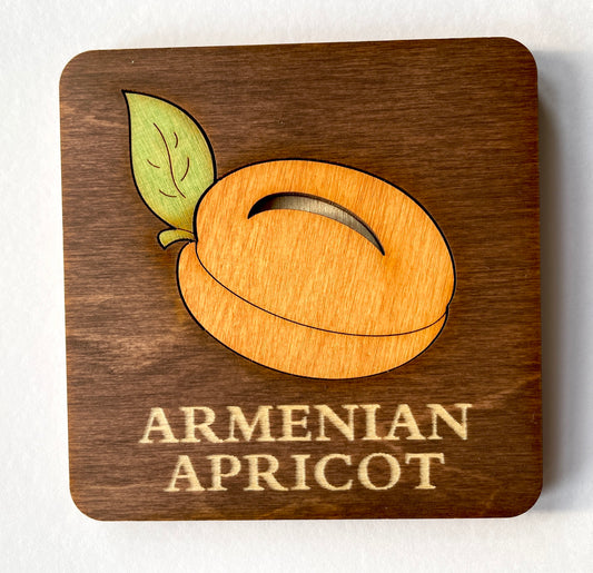 Armenian Apricot Coaster we